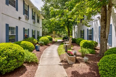 Lush garden pathway between buildings