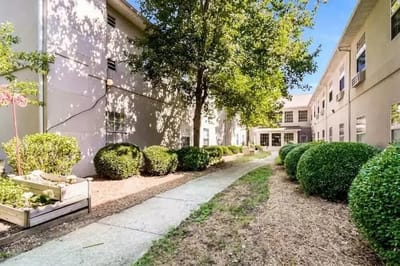 Well-maintained garden pathway with shrubs