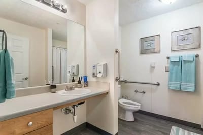 Clean and accessible bathroom in a resident room.