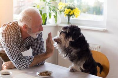 Senior man interacting playfully with his dog.