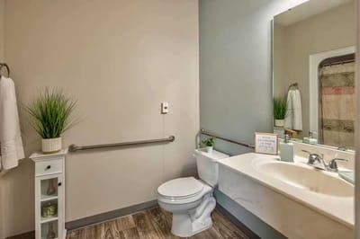 Accessible bathroom with grab bars and sink.