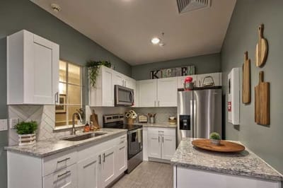 Modern kitchen interior with appliances and decor.