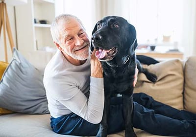 Senior man enjoying time with a Labrador dog