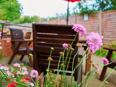 Colorful flowers in an outdoor seating area.
