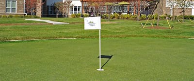 Outdoor space with a flag in a grassy area