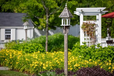 Garden with flowers and a decorative lantern