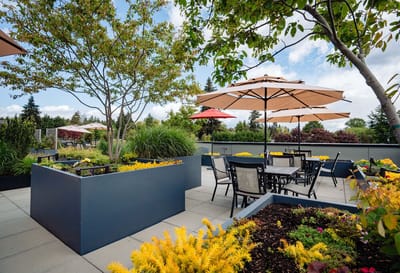 Roof terrace with flowers and seating area