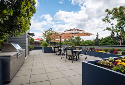 Outdoor patio with tables and umbrellas