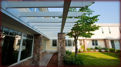 Outdoor space with a pergola and landscaping