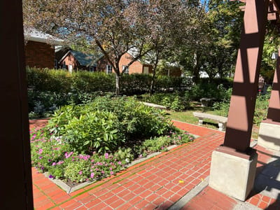 Serene outdoor garden space with seating and flowers