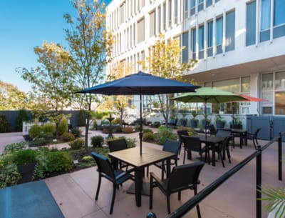 Outdoor seating area with umbrellas and plants
