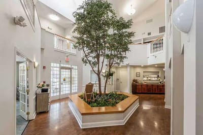 Interior view of a common area with a tree and seating