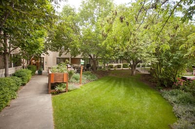 Lush garden area with walking path and greenery