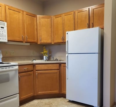 Modern kitchen with wooden cabinets and appliances