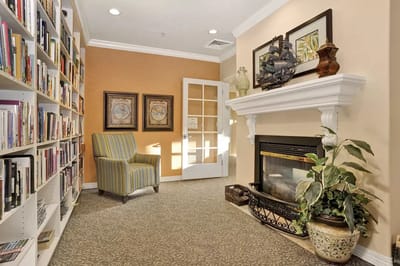 Cozy lounge area with bookshelves and fireplace