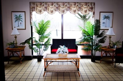 Bright interior lounge area with plants and seating