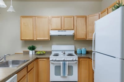 Bright kitchen area with appliances and wood cabinets