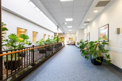Bright corridor filled with plants and artwork
