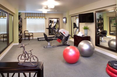 Fitness area with exercise equipment and balls