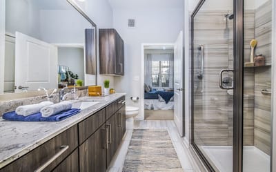 A modern bathroom with a walk-in shower and vanity