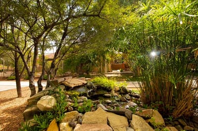 Serene garden area with a water feature