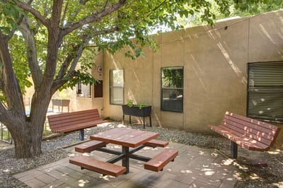Seating area under a tree in a garden space.