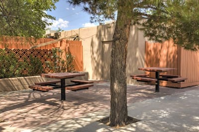 Outdoor seating area with picnic tables and trees.