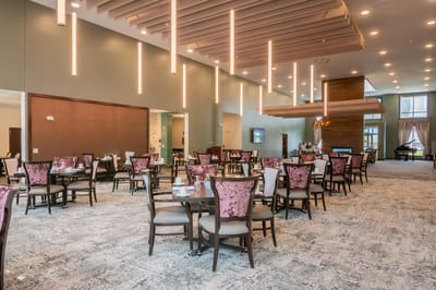 Bright dining area with elegant chairs and tables.
