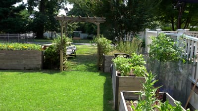 A well-maintained garden area with raised beds