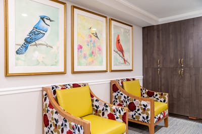 Brightly decorated common area with colorful chairs and bird art