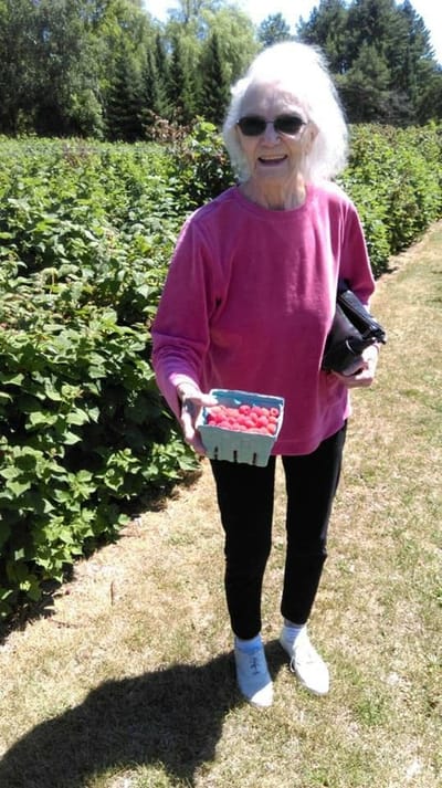 Elderly woman picking berries in a field