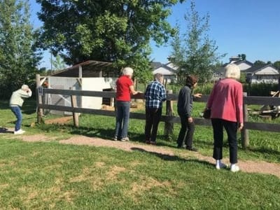 Residents engaging with animals at a fenced area outdoors