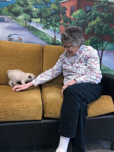 Resident interacting with a small dog on a couch