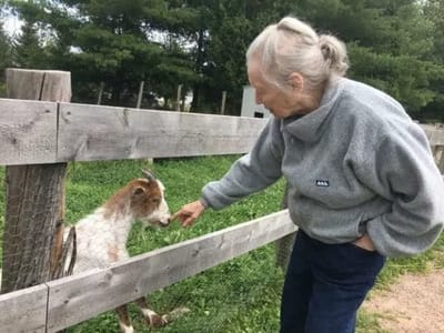 Senior resident interacting with a goat at a fence
