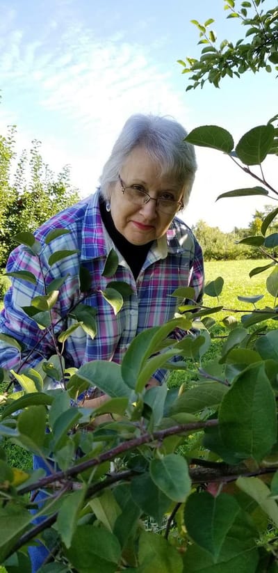 Elderly woman interacting with plants in a garden