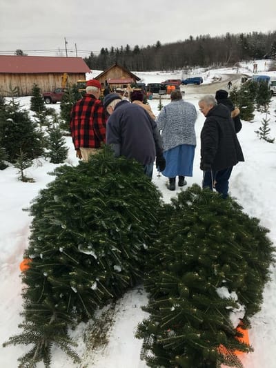Residents selecting Christmas trees in a snowy outdoor setting