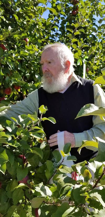 Resident picking apples in a garden