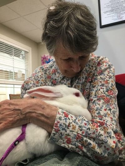 Resident cuddling a rabbit in a cozy indoor setting