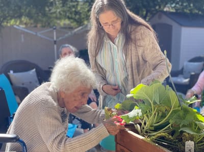 Residents gardening in a sunny outdoor area