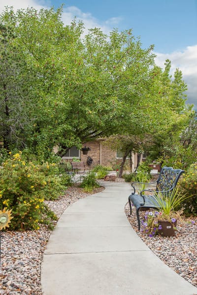 Pathway through a landscaped outdoor space