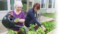 Residents gardening in a sunny outdoor space