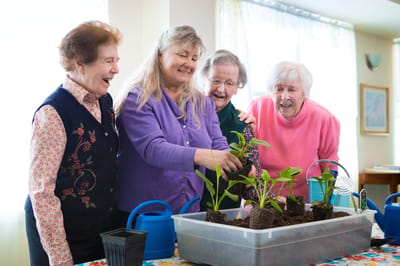 Group of women engaged in gardening activity indoors