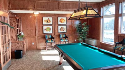 Interior view of a game room with pool table