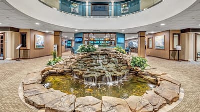 Interior space with a water feature and greenery