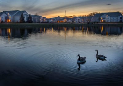 View of the facility at sunset with ducks on the pond