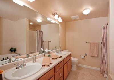 Bright and clean bathroom with double sinks