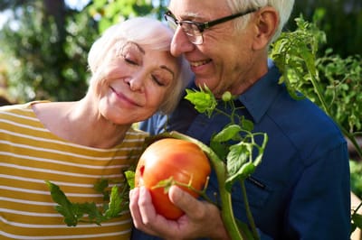 Couple enjoying gardening with a ripe tomato