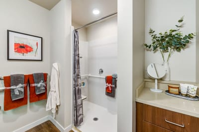 Well-decorated bathroom with accessible features