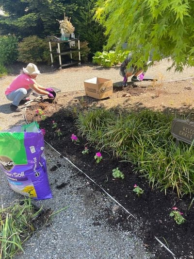 Residents gardening in a flower bed outside