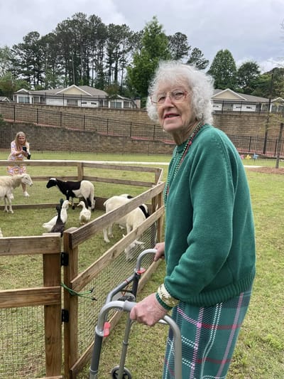 An elderly woman interacting with animals in a petting area